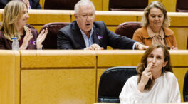 Javier Arenas estalla contra Mónica García en el Senado: «Impresentable e infumable»