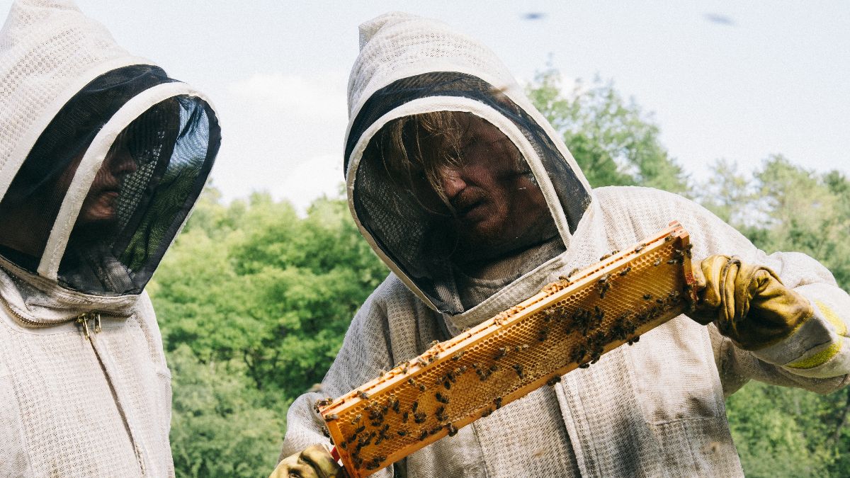 ‘Bugonia’ y ‘El imperio’: ¿habitan los alienígenas entre nosotros?