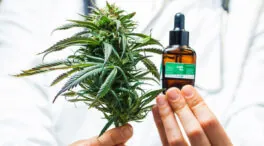 Los efectos del cannabis medicinal en los pacientes con diabetes: ¿qué se sabe y qué no?