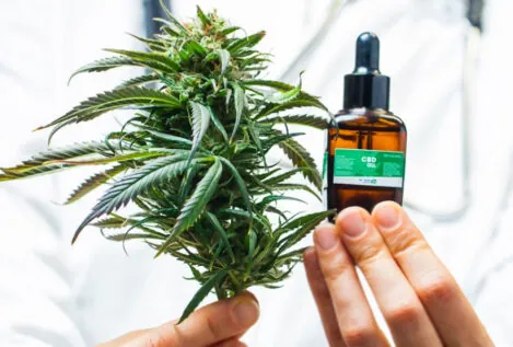 Los efectos del cannabis medicinal en los pacientes con diabetes: ¿qué se sabe y qué no?