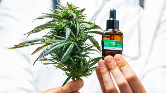 Los efectos del cannabis medicinal en los pacientes con diabetes: ¿qué se sabe y qué no?