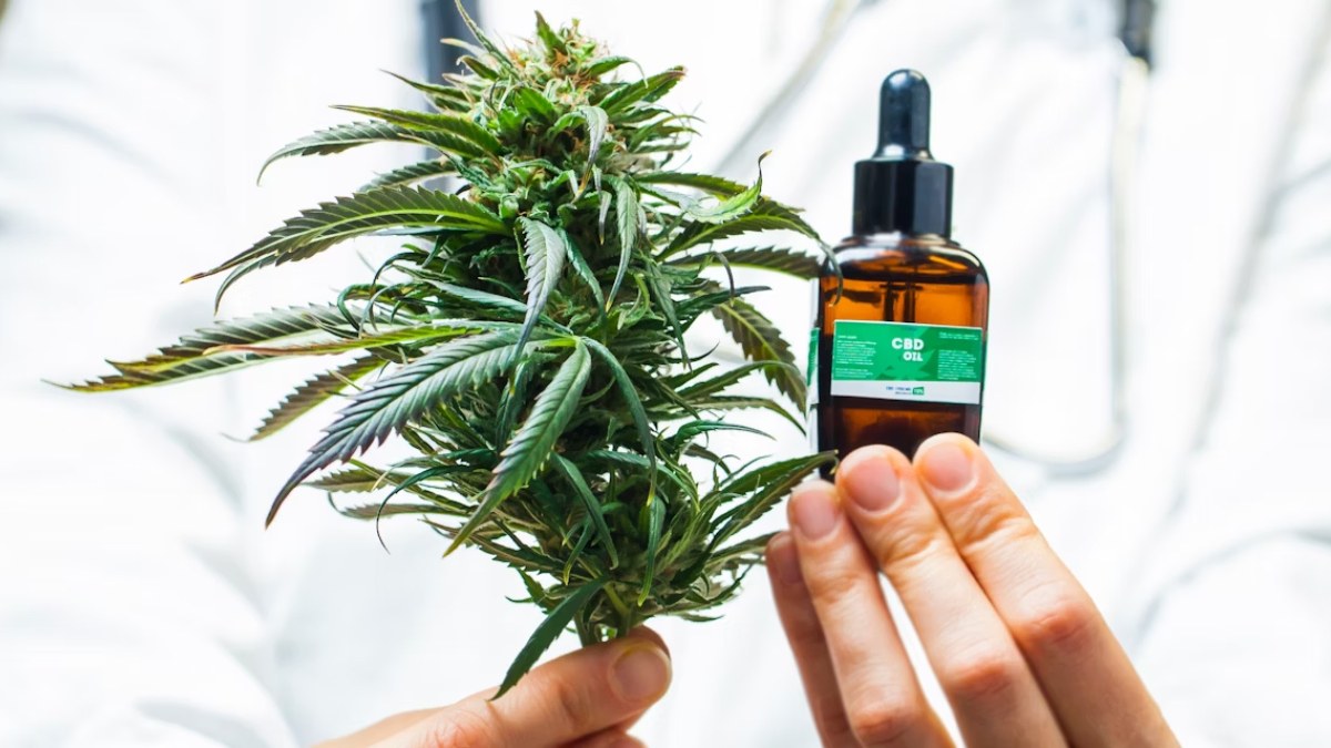 Los efectos del cannabis medicinal en los pacientes con diabetes: ¿qué se sabe y qué no?