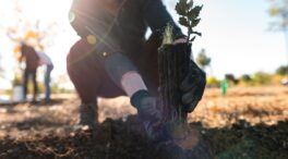 Retree, regenerando nuestro bien más preciado