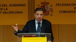 Planas cree que la gripe aviar tiene un impacto «muy limitado» sobre producción y precios