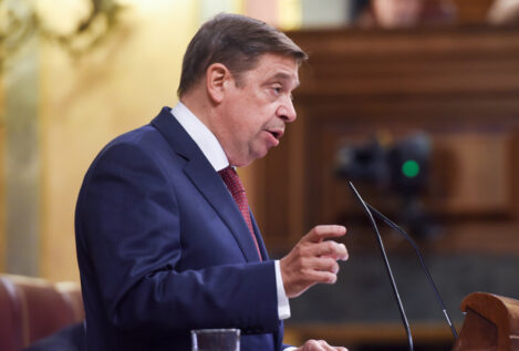 Planas pide tranquilidad ante la gripe aviar y prevé incidencias en el precio de los huevos