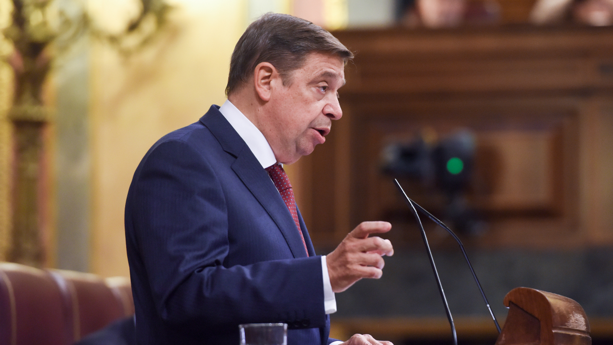 Planas pide tranquilidad ante la gripe aviar y prevé incidencias en el precio de los huevos