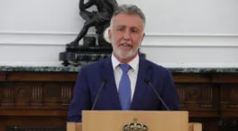 Torres dice que el Gobierno tiene 432 de los 2.826 expedientes de menores inmigrantes