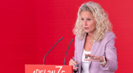 El PSOE, ante la investidura de Pérez Llorca: «Hoy en Valencia va a ser un día muy triste»