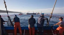 El Gobierno cambia las normas pesqueras para promover el relevo generacional