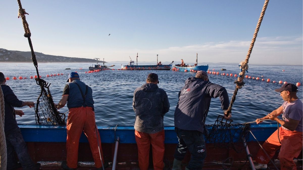 El Gobierno cambia las normas pesqueras para promover el relevo generacional