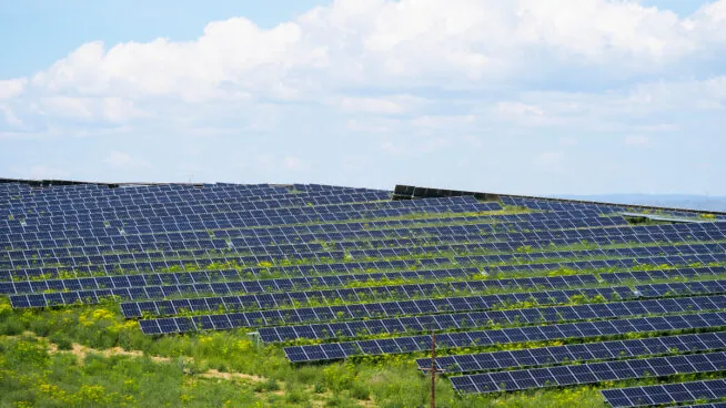 Distintas organizaciones irán a los tribunales si se conceden licencias a plantas solares ilegales