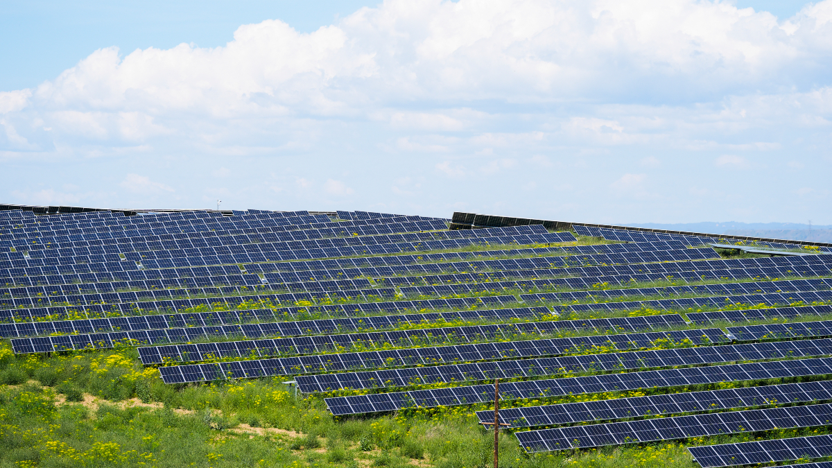 Distintas organizaciones irán a los tribunales si se conceden licencias a plantas solares ilegales