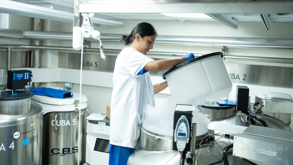 Andalucía lidera el impulso inversor en sanidad en España