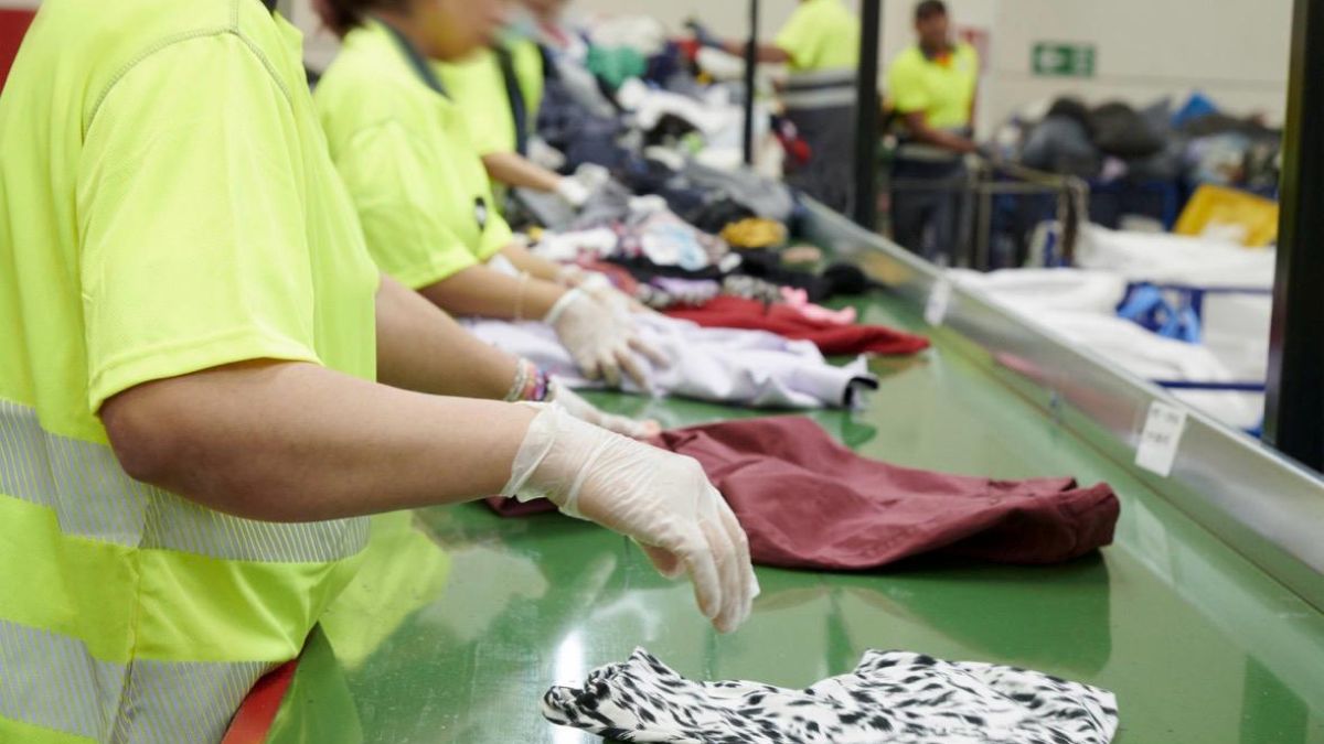 Moda re- llega a Harvard