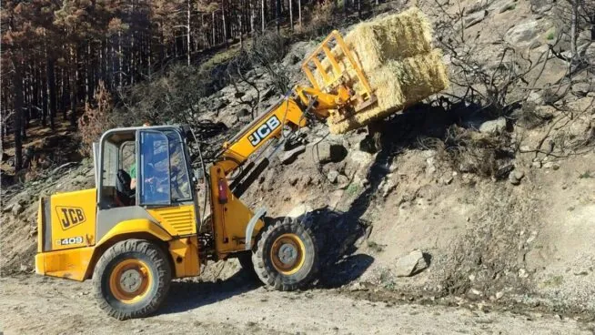 Castilla y León acelera la restauración de las zonas afectadas tras los grandes incendios