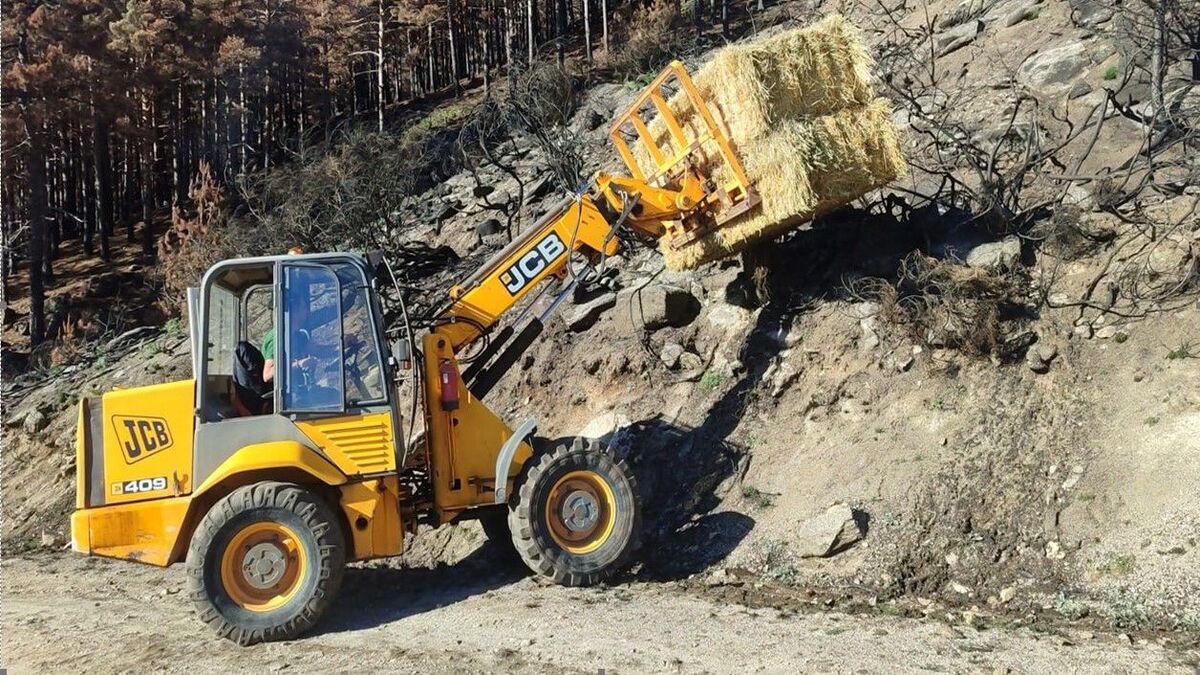 Castilla y León acelera la restauración de las zonas afectadas tras los grandes incendios