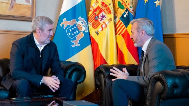 Clavijo desea que Vox se quede en «anécdota»: «Su discurso migratorio es ilegal»