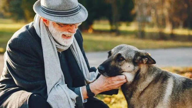 Los beneficios de tener perro: cómo pueden mejorar tu salud sin que te des cuenta