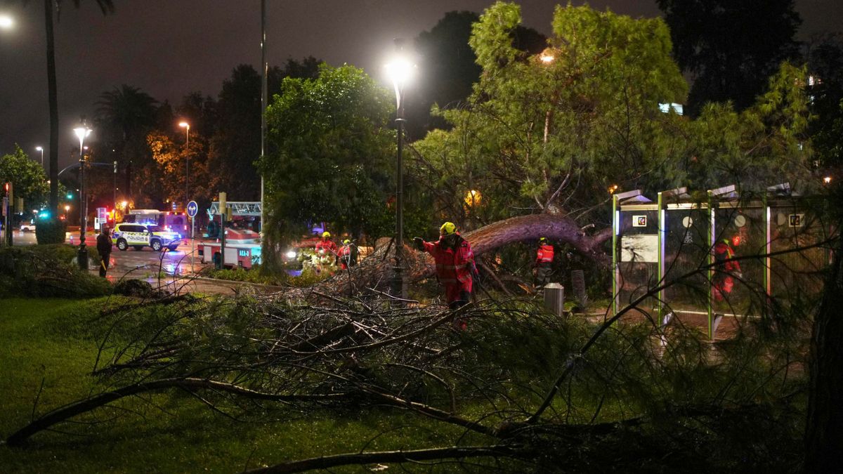 Andalucía recupera la normalidad tras el paso de la borrasca ‘Claudia’