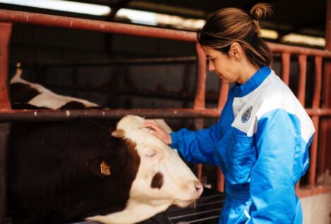 ¿Es la industria de la carne de vacuno compatible con la sostenibilidad?