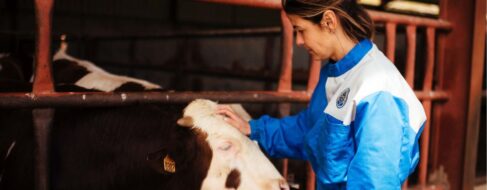 ¿Es la industria de la carne de vacuno compatible con la sostenibilidad?