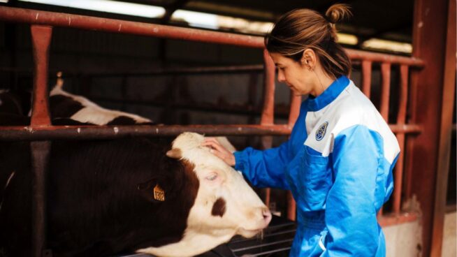 ¿Es la industria de la carne de vacuno compatible con la sostenibilidad?
