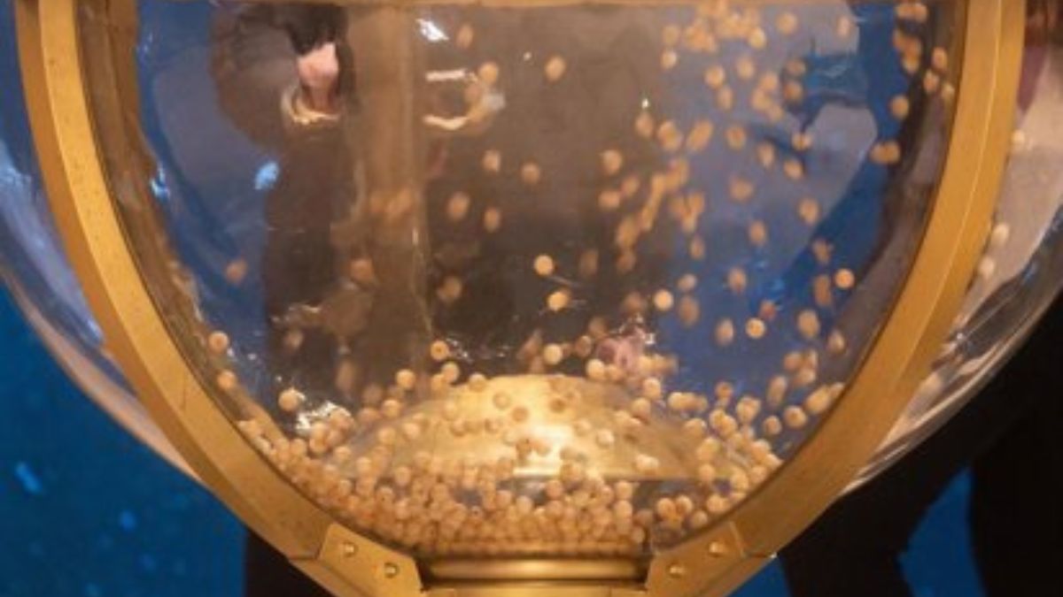 Cómo calcular cuánto te toca en la Lotería de Navidad después de pagar impuestos