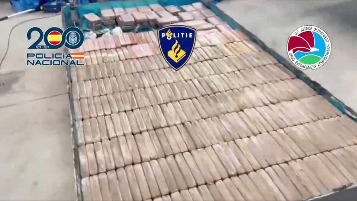 Golpe al Cartel de Jalisco en España: los 20 detenidos traían droga en maquinaria pesada