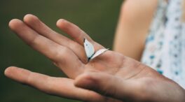 Un estudio descubre un posible séptimo sentido: detectar objetos sin tocarlos