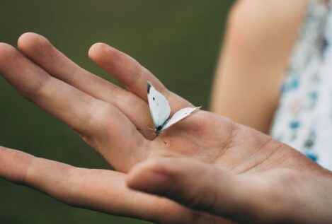 Un estudio descubre un posible séptimo sentido: detectar objetos sin tocarlos