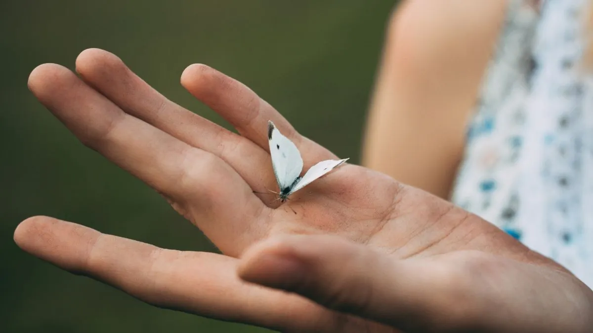 Un estudio descubre un posible séptimo sentido: detectar objetos sin tocarlos