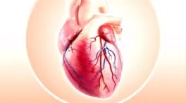 La Universidad de Sidney afirma que un minuto de ejercicio intenso puede proteger el corazón