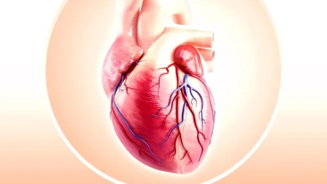 La Universidad de Sidney afirma que un minuto de ejercicio intenso puede proteger el corazón