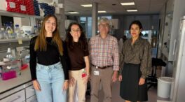 Identifican la célula que provoca el tumor pediátrico del Sarcoma de Ewing