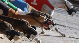 El laborismo británico desafía dos símbolos nacionales: las carreras de caballos y de galgos