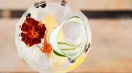 El mejor gintonic… es el que no sabe a gintonic