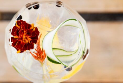 El mejor gintonic… es el que no sabe a gintonic