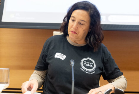 La comisión del Congreso de la dana veta a las familias críticas con la gestión de Sánchez