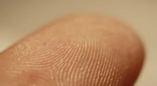 ¿Por qué tenemos huellas dactilares y para qué sirven realmente?