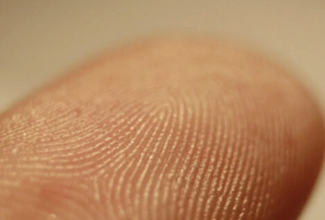¿Por qué tenemos huellas dactilares y para qué sirven realmente?
