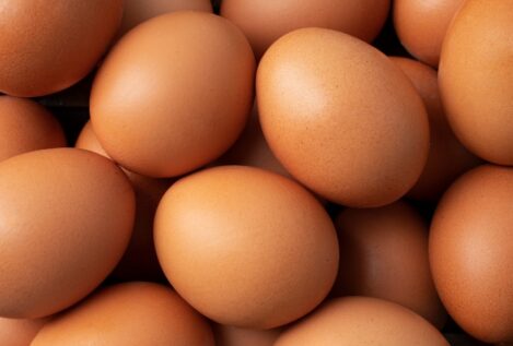 Huevos camperos o 'normales': qué opción es mejor y más sana, según los estudios científicos
