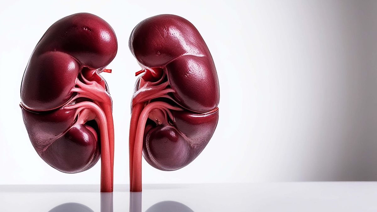 Dr. Sethi, experto en medicina interna: «Para tener los riñones sanos debes seguir esta dieta»