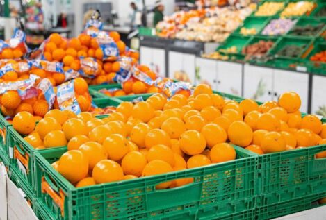 Mercadona revela de dónde vienen sus naranjas: proceden de cinco comunidades