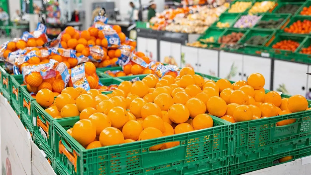 Mercadona revela de dónde vienen sus naranjas: proceden de cinco comunidades