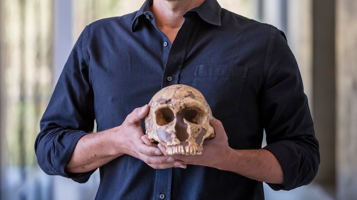 Nosotros, los neandertales