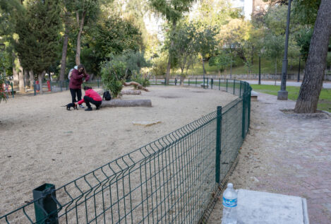 La Policía encuentra a dos adolescentes muertas en un parque de Jaén