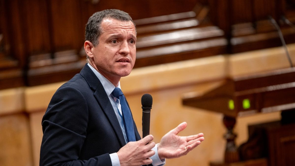 Hallados muertos por peste porcina africana otros cuatro jabalís en Collserola (Barcelona)