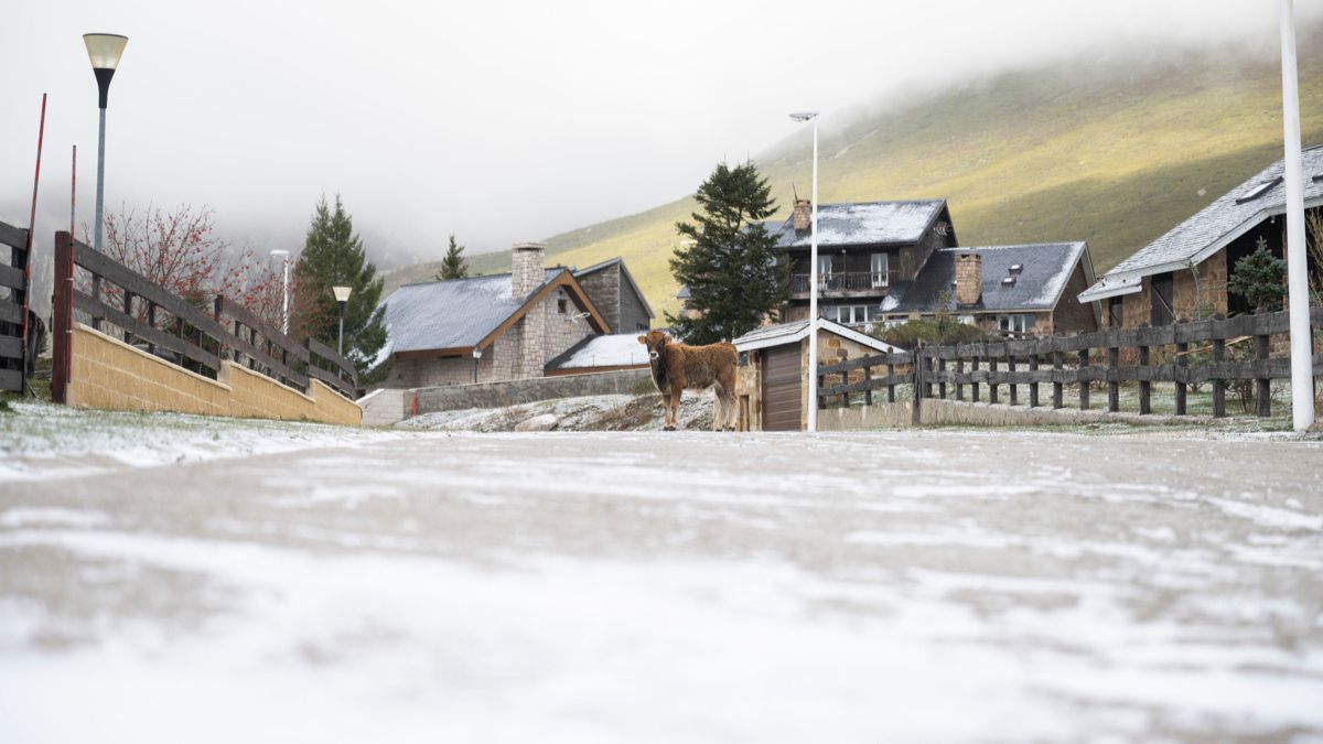 Un total de 14 provincias tienen avisos por nieve, oleaje y viento