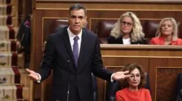 Sánchez dice que no puede convocar elecciones «día sí y día también»
