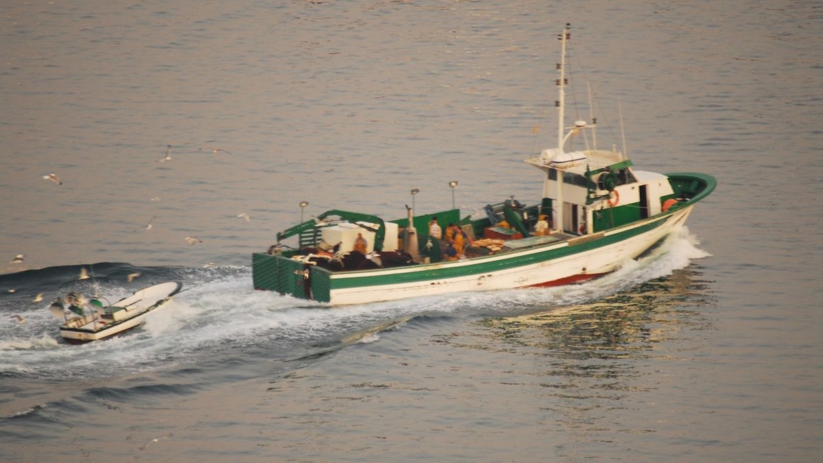 Organizaciones de conservación marina instan al Congreso a reforzar a combatir la pesca ilegal